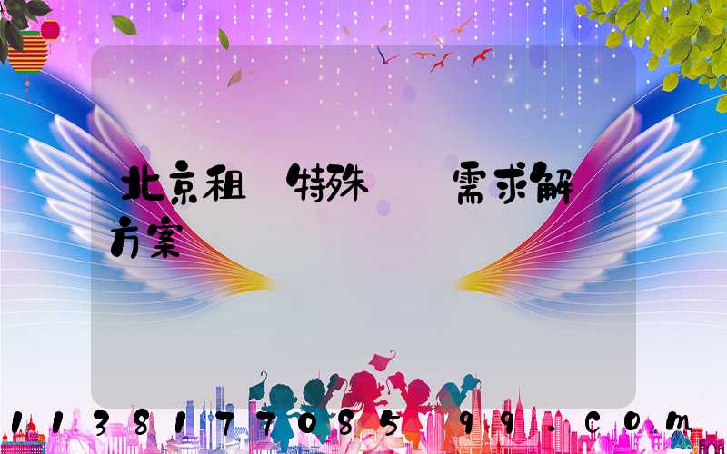 北京租車特殊車輛需求解決方案