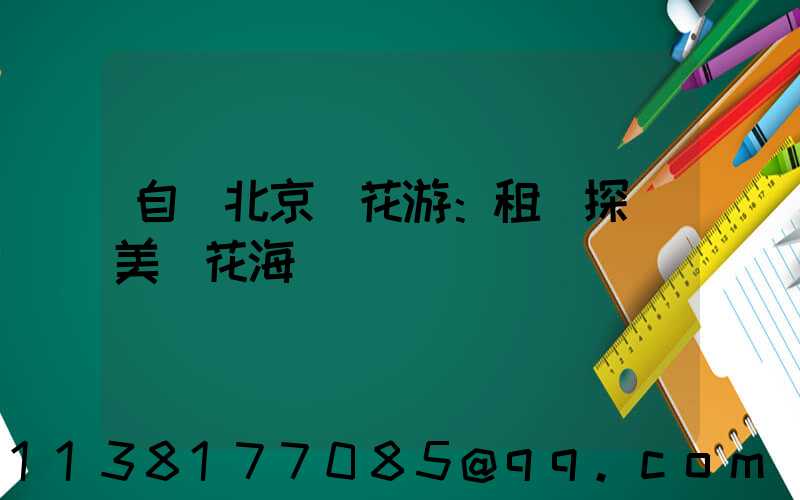 自駕北京賞花游：租車探訪美麗花海